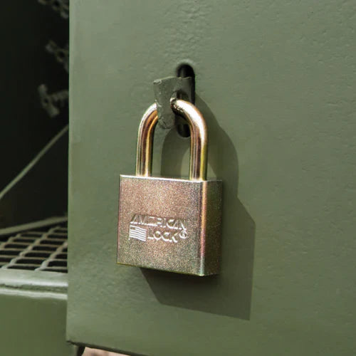 Government Locks