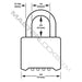 Master Lock 975 Resettable Combination Brass Padlock 2in (51mm) Wide-Combination-Master Lock-975LH-MasterLocks.com