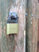 Master Lock 176 Resettable Combination Brass Padlock, Supervisory Key Override 2in (51mm) Wide-Combination-Master Lock-MasterLocks.com